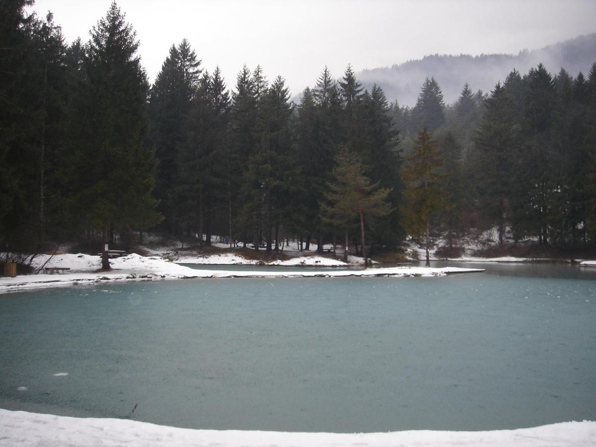 Margiola Ξενοδοχείο Calalzo di Cadore Εξωτερικό φωτογραφία