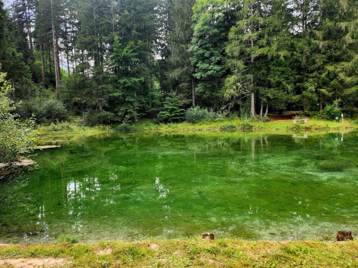 Margiola Ξενοδοχείο Calalzo di Cadore Εξωτερικό φωτογραφία